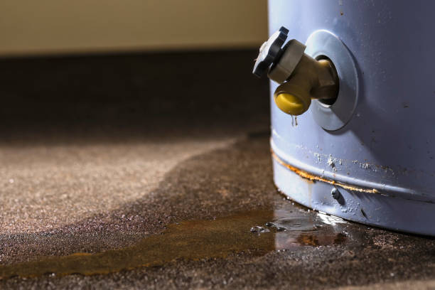 Scenic, AZ Water damage restoration Company