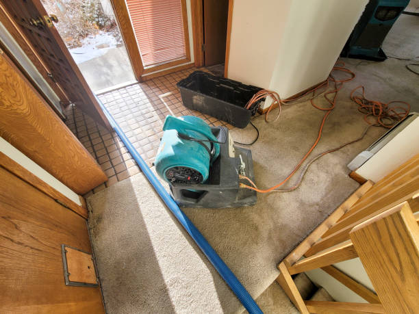 Best Flood damage cleanup  in Scenic, AZ