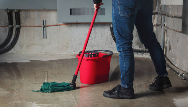 Best Mold removal after water damage  in Scenic, AZ