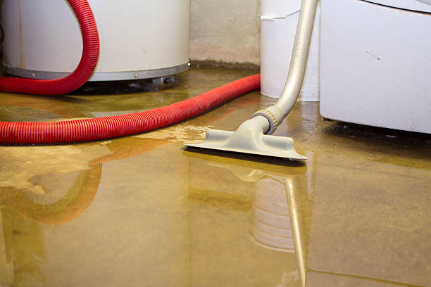 Best Water damage restoration near me  in Scenic, AZ