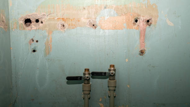 Best 24/7 water damage repair  in Scenic, AZ