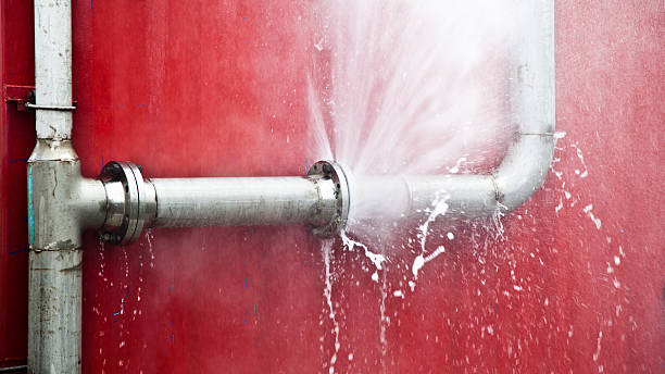 Best Sewage cleanup and water damage restoration  in Scenic, AZ
