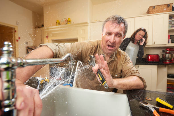 Best Flooded house restoration  in Scenic, AZ